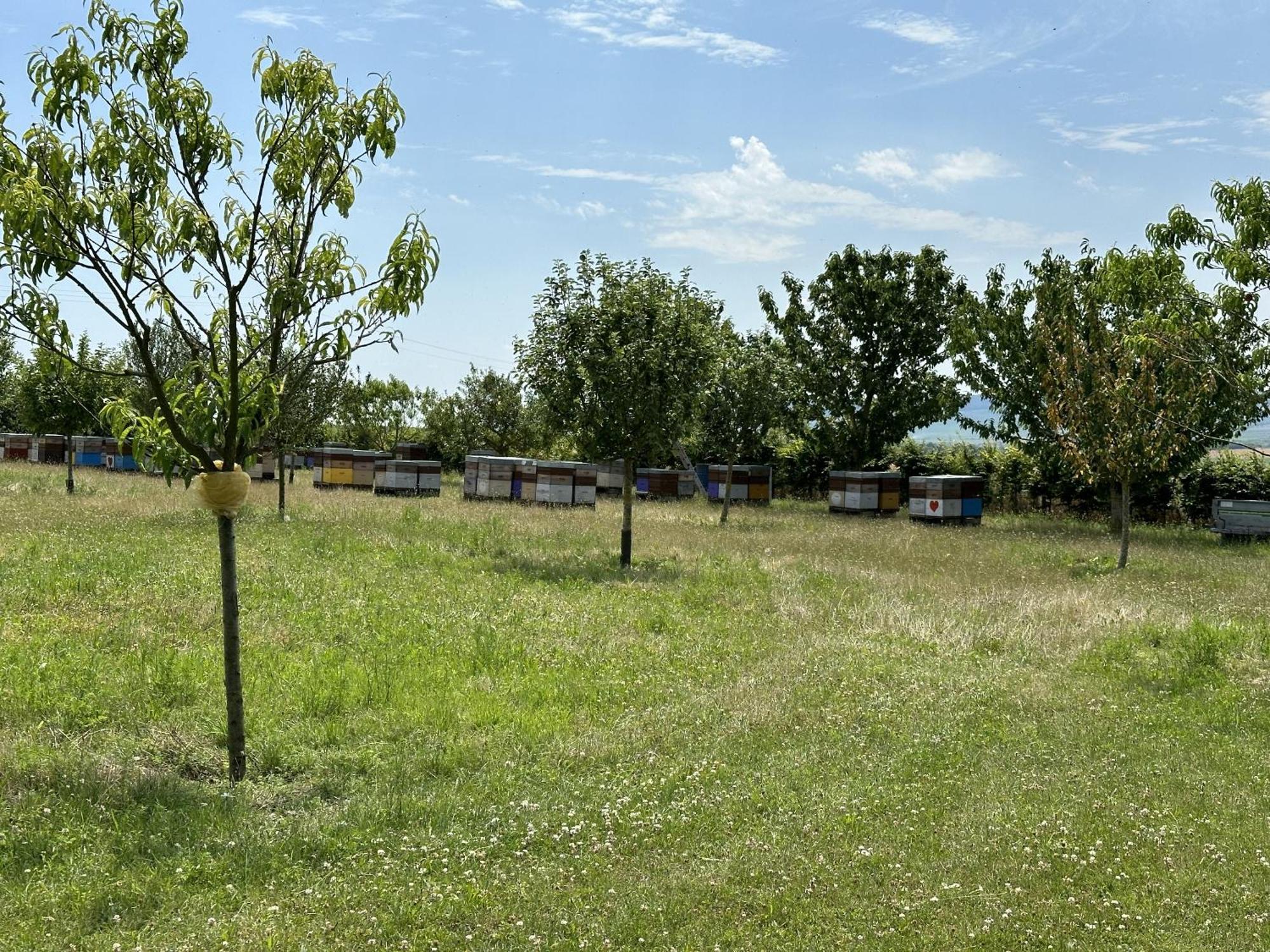 Villa Happy à Cernay-les-Reims Extérieur photo